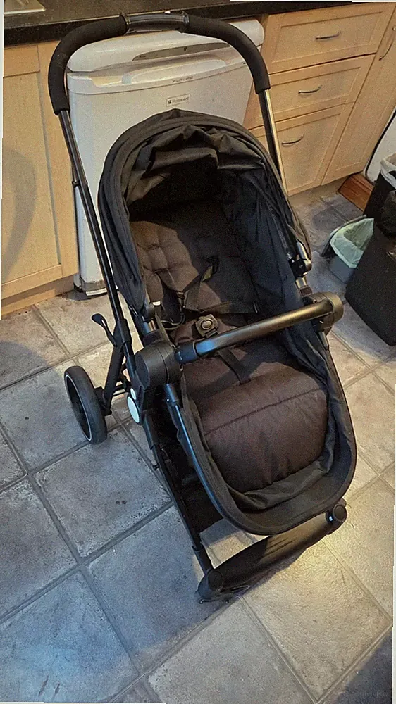 2 in 1 Hochlandskinderwagen mit umkehrbarem Sitz und verstellbarer Rückenlehne 2418