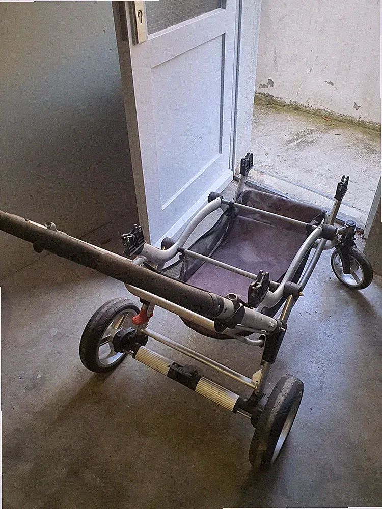 ABC Design Zoom Geschwisterwagen Ramen mit Rollen ohne Sitze