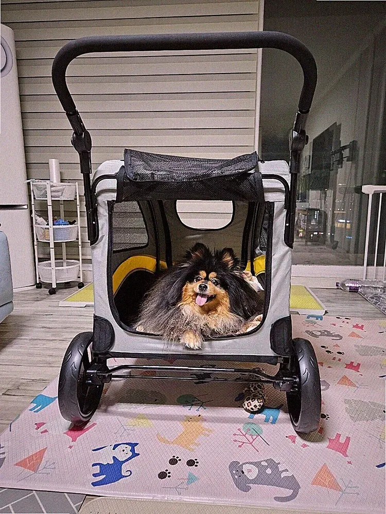 Zusammenklappbar Jogger