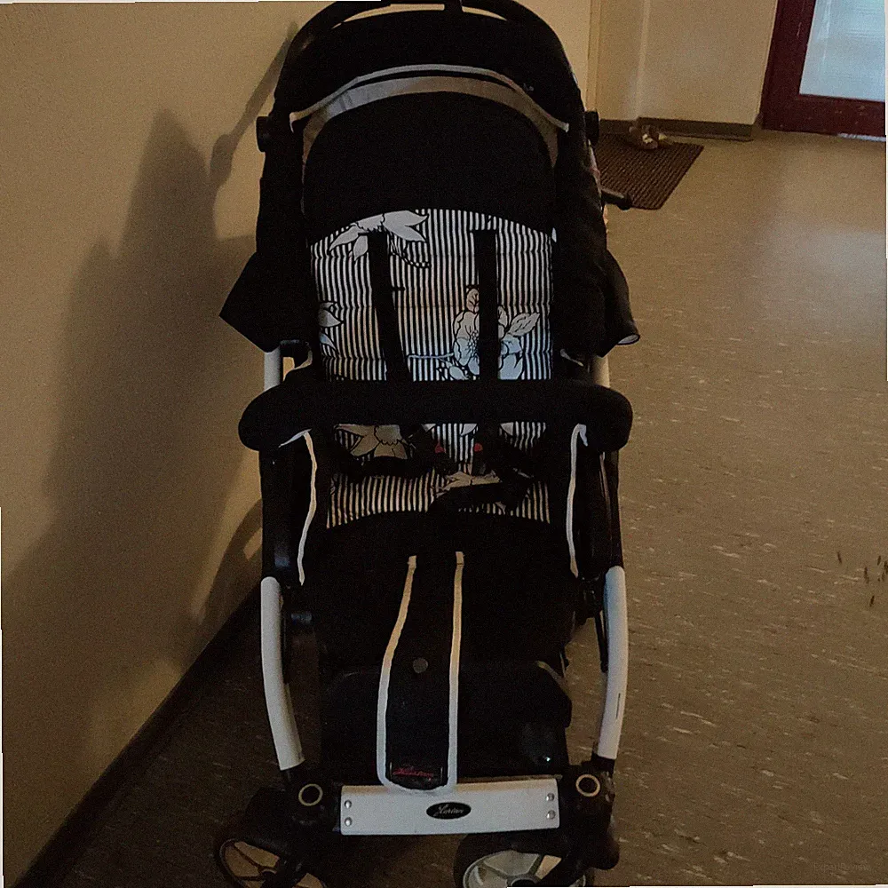 Buggy Einsitzer klappbar, verstellbare Rückenlehne, Verdeck, Ablagekorb, schwarz