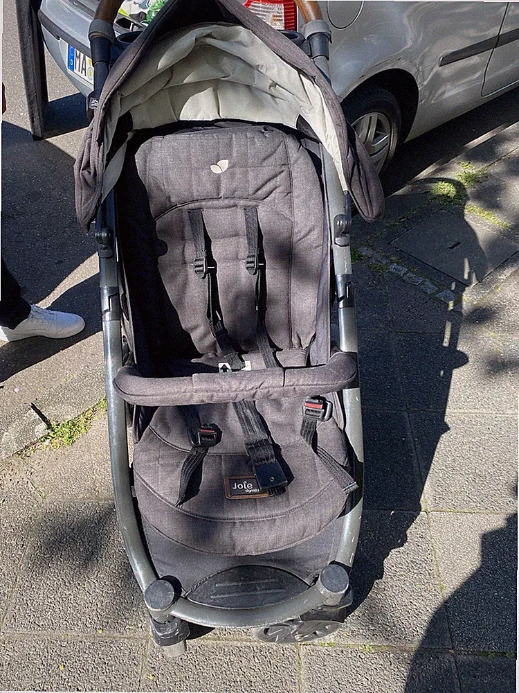 Chicco Kinderwagen Echo Cane 0-22 Kg Chicco 4-Rad-Kinderwagen