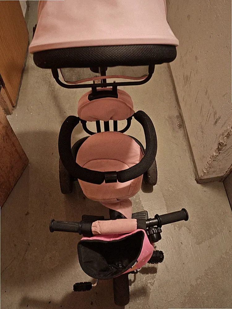 25 kg Buggy