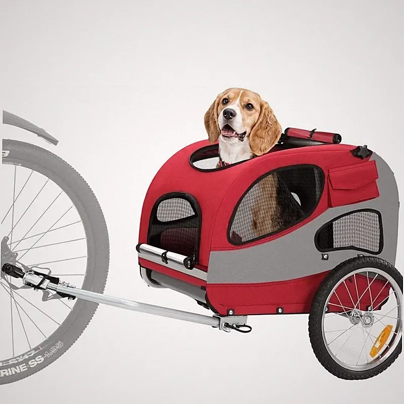 Faltbarer Kinderwagen/Buggy für Kinder, offenes Modell mit Sicherheitsgurt