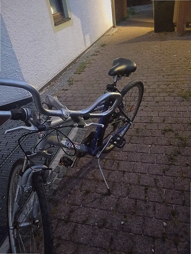 Froggy Kinder-Fahrradanhänger Gelb/Grau für Kinderwagen umrüstbar mit Buggy-Rad