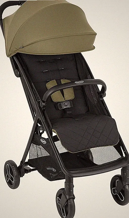 GRACO MYAVO BUGGY BIS 22 KG LEICHT FALTBAR KOMPAKT CLOVER