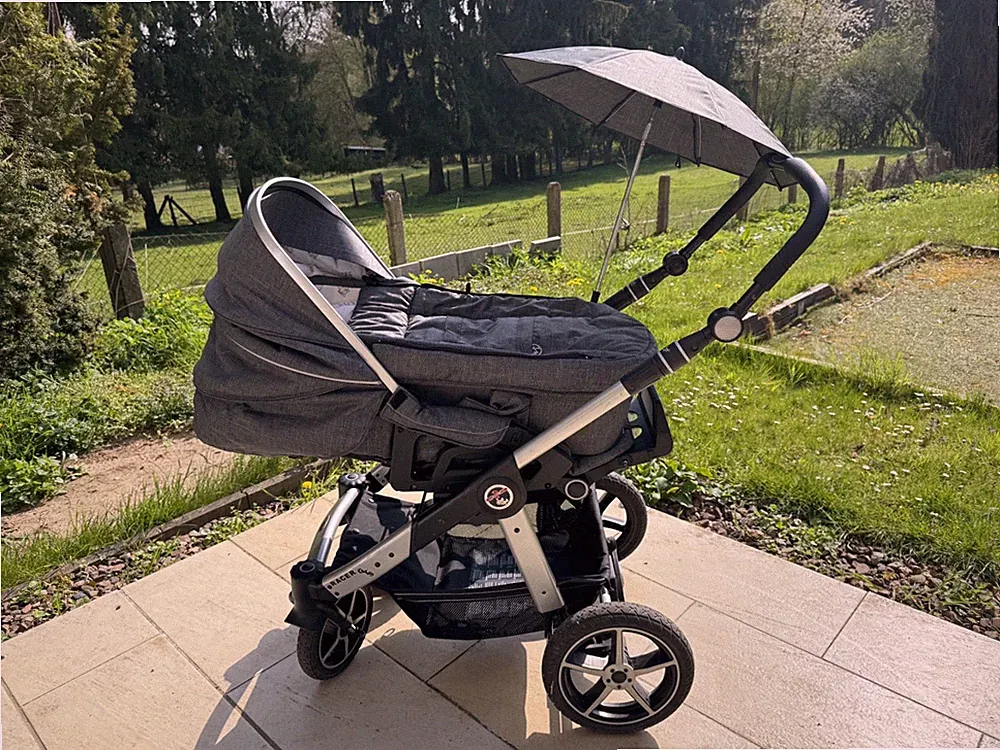 Hartan Racer GTS, anthrazit, "little zoo"