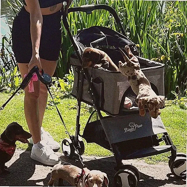 Hundebuggy Hundewagen bis 25 kg für kleine Hunde Hundekinderwagen Trolley Buggy