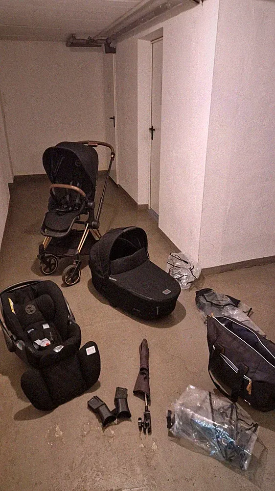 Kinderwagen set 3 in 1 Cybex Priam Platinium Schwarz/Rose