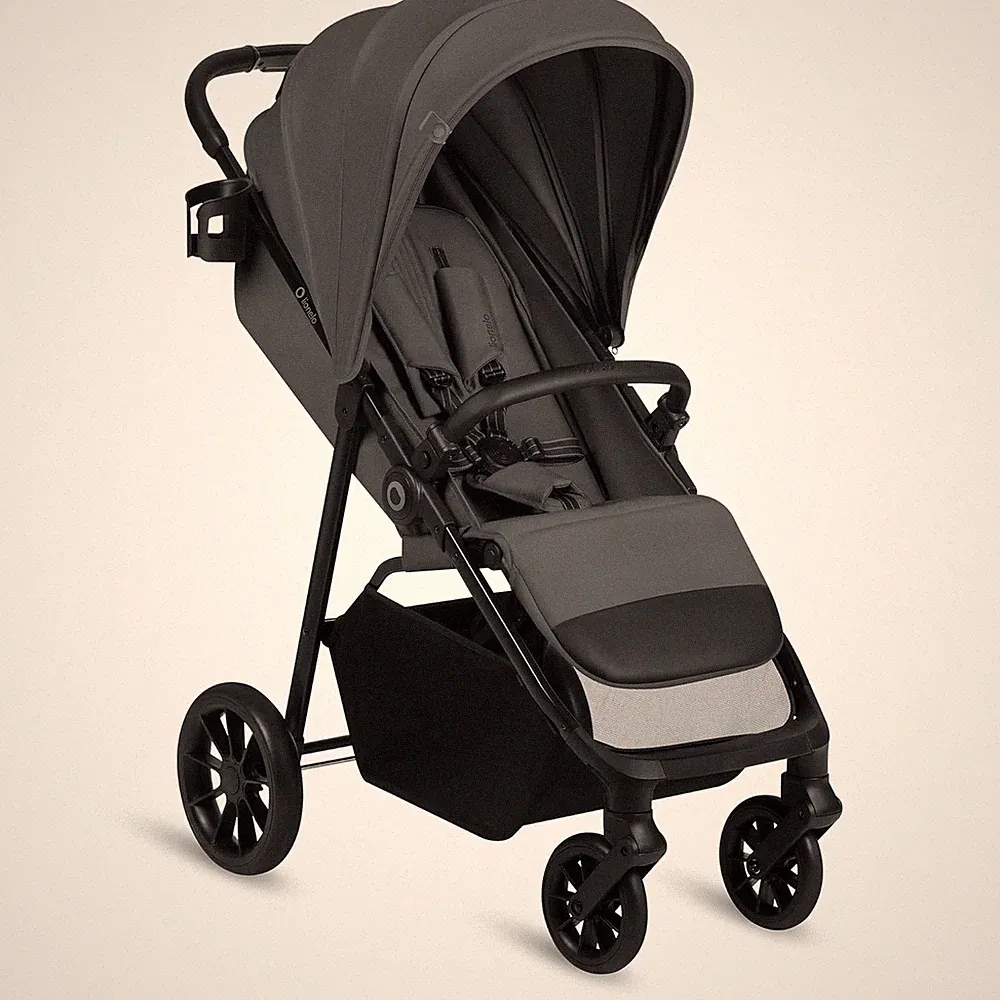 Lionelo Emerald Buggy bis 22 kg, 6 Monate–4 Jahre EVA-Räder 360° mit Federung