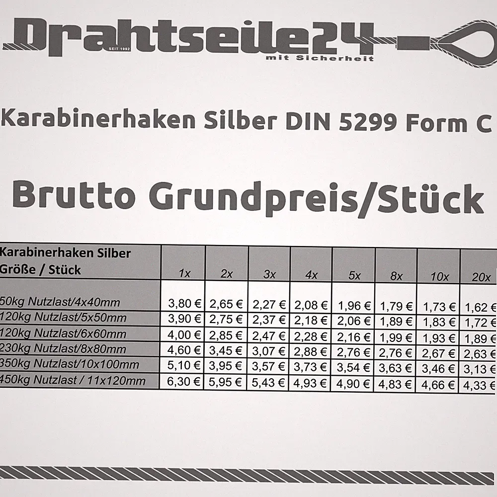Silberner Karabinerhaken DIN Karabiner Silber Verzinkt 1 2 3 4 5 8 10 20 Stück